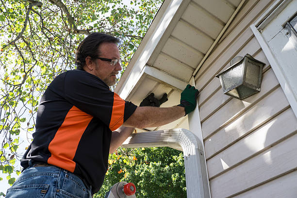 Shed Removal in Bay Hill, FL
